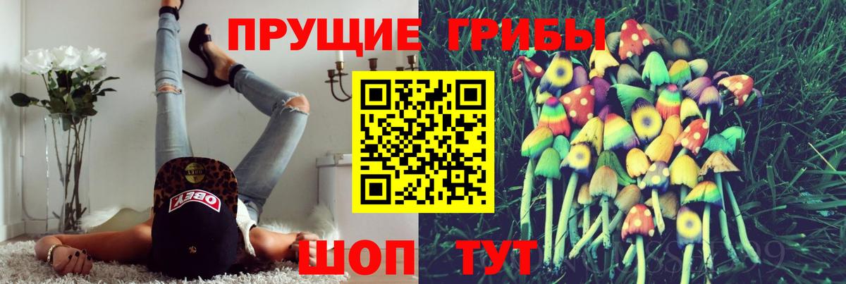 Кунгур  Галлюциногенные грибы Psilocybe  Вход с VPN 